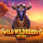 Wild Wildebeest Wins